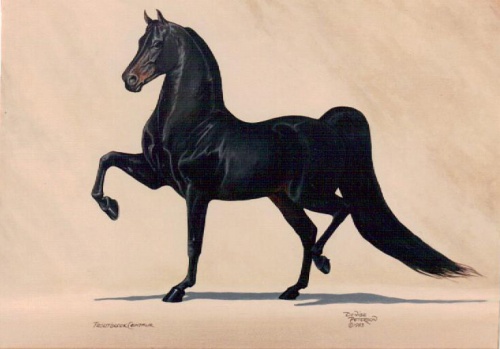 Troutbrook Centaur